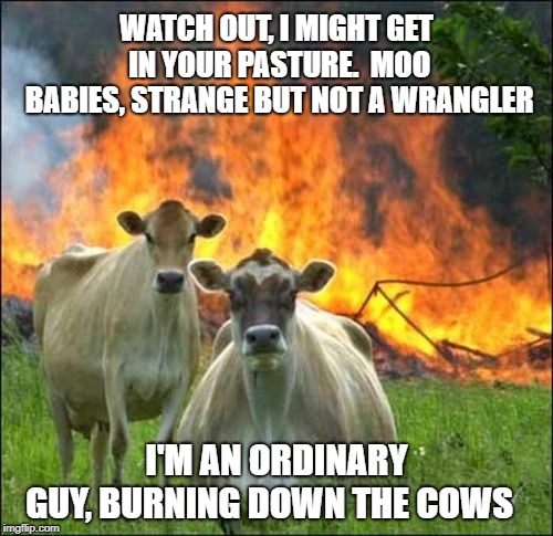 Burning Down the Cows | WATCH OUT, I MIGHT GET IN YOUR PASTURE.  MOO BABIES, STRANGE BUT NOT A WRANGLER; I'M AN ORDINARY GUY,
BURNING DOWN THE COWS | image tagged in memes,evil cows,talking heads,burning down the cows,cows | made w/ Imgflip meme maker