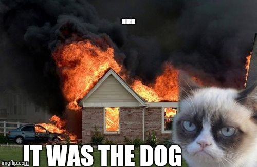 Burn Kitty Meme | ... IT WAS THE DOG | image tagged in memes,burn kitty,grumpy cat | made w/ Imgflip meme maker