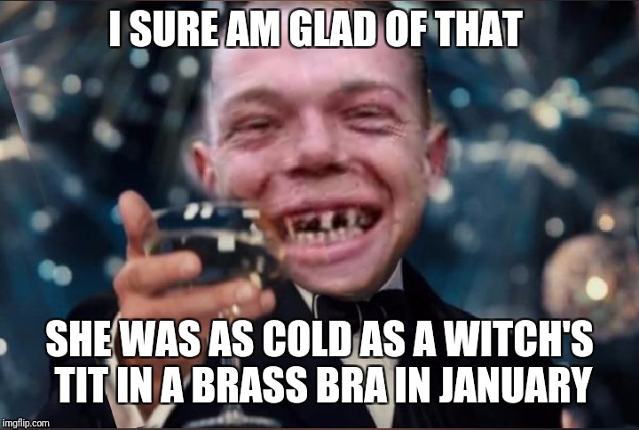 I SURE AM GLAD OF THAT SHE WAS AS COLD AS A WITCH'S TIT IN A BRASS BRA IN JANUARY | made w/ Imgflip meme maker