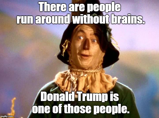 Wizard of Oz Scarecrow | There are people run around without brains. Donald Trump is one of those people. | image tagged in wizard of oz scarecrow | made w/ Imgflip meme maker