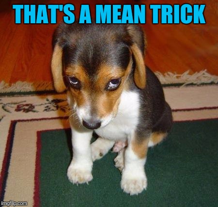 Sad puppy | THAT'S A MEAN TRICK | image tagged in sad puppy | made w/ Imgflip meme maker