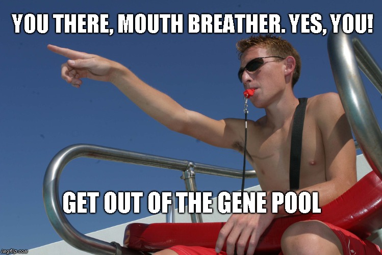 Get out of the gene pool | YOU THERE, MOUTH BREATHER. YES, YOU! GET OUT OF THE GENE POOL | image tagged in mouth breather | made w/ Imgflip meme maker