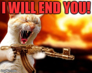 Cat Machinegun | I WILL END YOU! | image tagged in cat machinegun | made w/ Imgflip meme maker