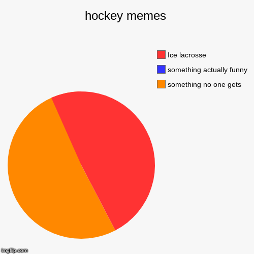 hockey memes | something no one gets, something actually funny , Ice lacrosse | image tagged in funny,pie charts | made w/ Imgflip chart maker