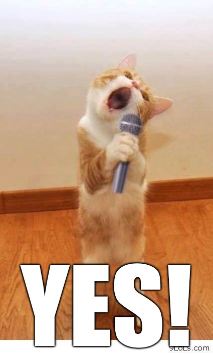 Cat Singer | YES! | image tagged in cat singer | made w/ Imgflip meme maker