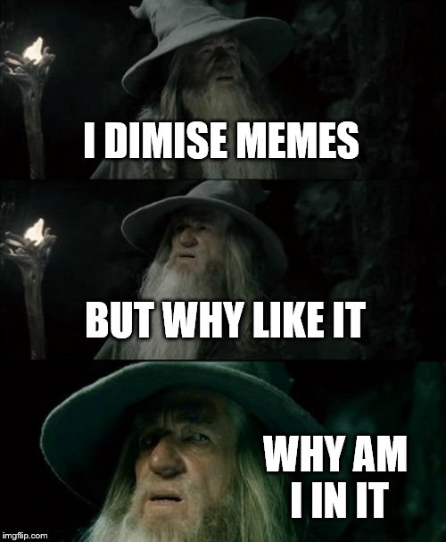 Confused Gandalf | I DIMISE MEMES; BUT WHY LIKE IT; WHY AM I IN IT | image tagged in memes,confused gandalf | made w/ Imgflip meme maker