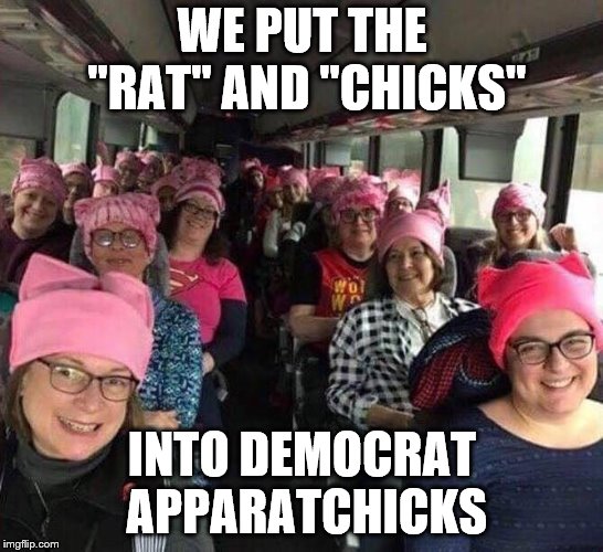 WE PUT THE "RAT" AND "CHICKS"; INTO DEMOCRAT APPARATCHICKS | image tagged in leftist hags | made w/ Imgflip meme maker