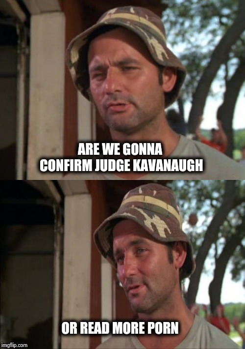 Bill Murray bad joke | ARE WE GONNA CONFIRM JUDGE KAVANAUGH OR READ MORE PORN | image tagged in bill murray bad joke | made w/ Imgflip meme maker