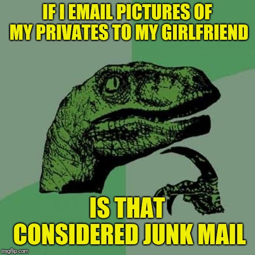 Asking for a friend... Yeah a friend! | IF I EMAIL PICTURES OF MY PRIVATES TO MY GIRLFRIEND; IS THAT CONSIDERED JUNK MAIL | image tagged in memes,philosoraptor | made w/ Imgflip meme maker