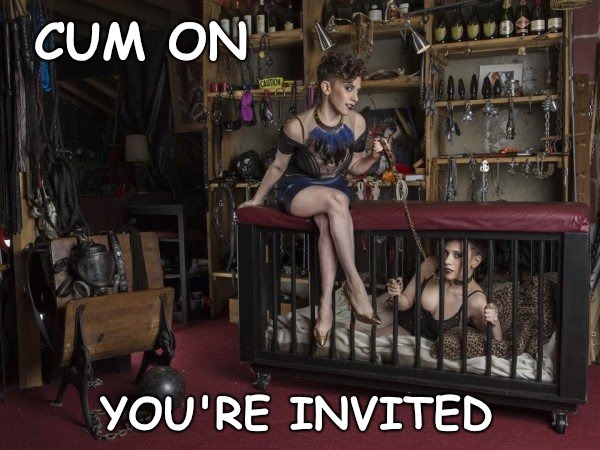 Lets do it Texan Style...... | CUM ON YOU'RE INVITED | image tagged in texans,i too like to live dangerously | made w/ Imgflip meme maker