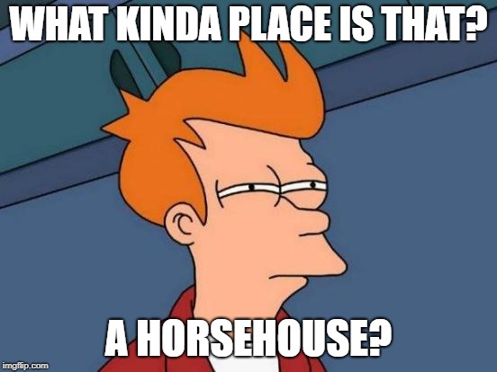 Futurama Fry Meme | WHAT KINDA PLACE IS THAT? A HORSEHOUSE? | image tagged in memes,futurama fry | made w/ Imgflip meme maker