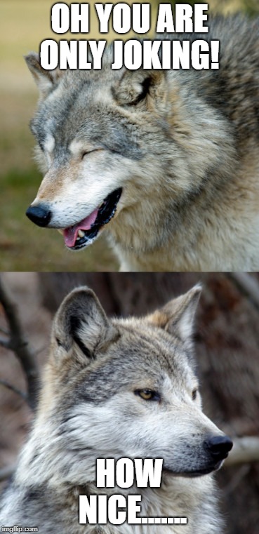 haha-no-wolf | OH YOU ARE ONLY JOKING! HOW NICE....... | image tagged in haha-no-wolf | made w/ Imgflip meme maker