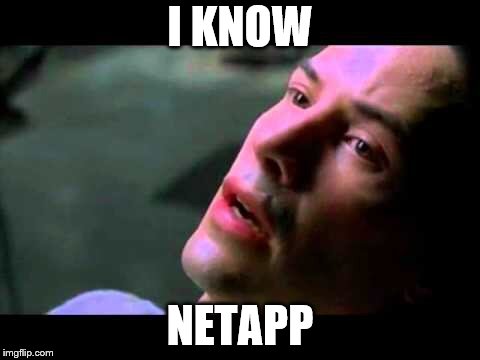 Neo kung fu | I KNOW; NETAPP | image tagged in neo kung fu | made w/ Imgflip meme maker