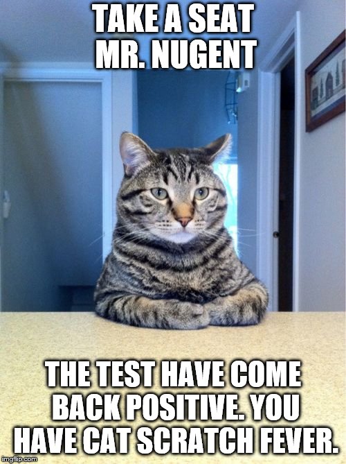 Take A Seat Cat Meme | TAKE A SEAT MR. NUGENT; THE TEST HAVE COME BACK POSITIVE. YOU HAVE CAT SCRATCH FEVER. | image tagged in memes,take a seat cat,ted nugent | made w/ Imgflip meme maker
