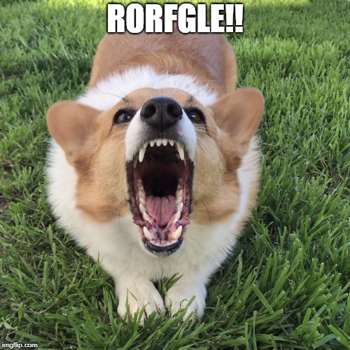 bork! | RORFGLE!! | image tagged in bork | made w/ Imgflip meme maker