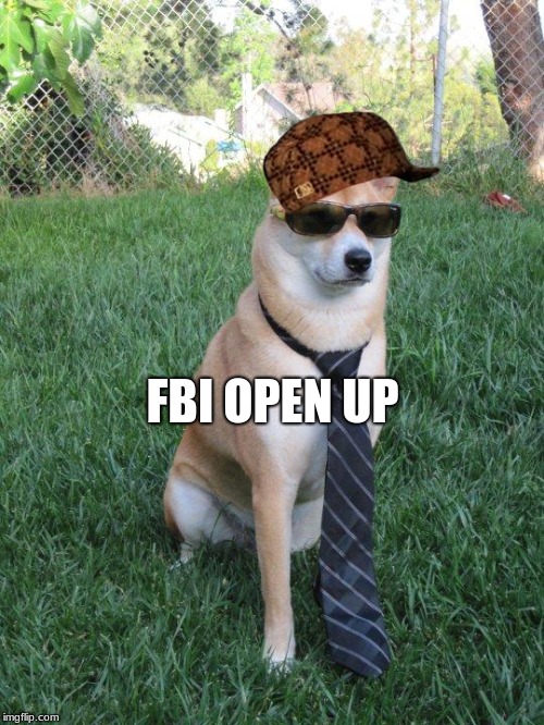 Business doge | FBI OPEN UP | image tagged in business doge,scumbag | made w/ Imgflip meme maker