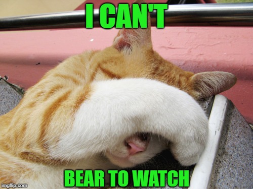 I CAN'T BEAR TO WATCH | made w/ Imgflip meme maker
