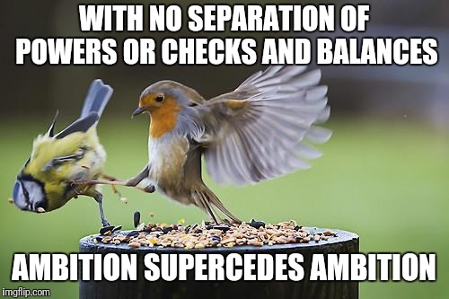 Bird Sparta | WITH NO SEPARATION OF POWERS OR CHECKS AND BALANCES; AMBITION SUPERCEDES AMBITION | image tagged in bird sparta | made w/ Imgflip meme maker