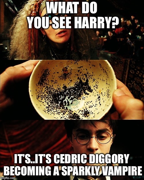 harry potter | WHAT DO YOU SEE HARRY? IT’S..IT’S CEDRIC DIGGORY BECOMING A SPARKLY VAMPIRE | image tagged in harry potter | made w/ Imgflip meme maker