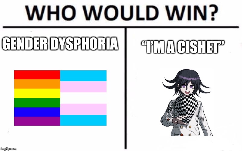 Who Would Win? | GENDER DYSPHORIA; “I’M A CISHET” | image tagged in memes,who would win | made w/ Imgflip meme maker