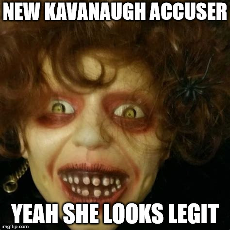 NEW KAVANAUGH ACCUSER; YEAH SHE LOOKS LEGIT | image tagged in new accuser | made w/ Imgflip meme maker