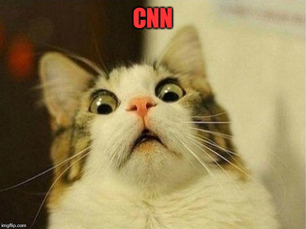 Scared Cat Meme | CNN | image tagged in memes,scared cat | made w/ Imgflip meme maker