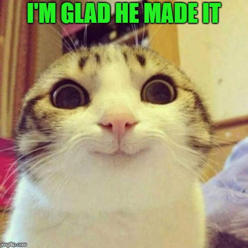 Smiling Cat Meme | I'M GLAD HE MADE IT | image tagged in memes,smiling cat | made w/ Imgflip meme maker
