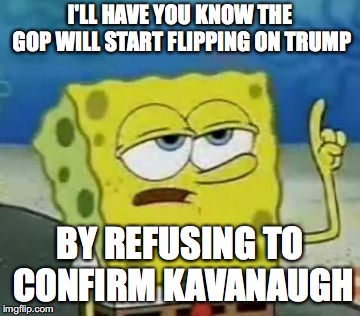 GOP Changing Course | I'LL HAVE YOU KNOW THE GOP WILL START FLIPPING ON TRUMP; BY REFUSING TO CONFIRM KAVANAUGH | image tagged in memes,ill have you know spongebob,gop,political meme | made w/ Imgflip meme maker
