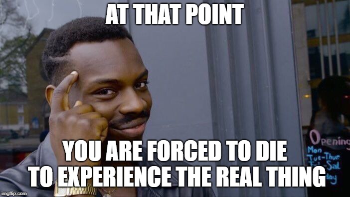 Roll Safe Think About It Meme | AT THAT POINT YOU ARE FORCED TO DIE TO EXPERIENCE THE REAL THING | image tagged in memes,roll safe think about it | made w/ Imgflip meme maker