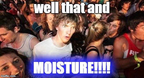 Sudden Clarity Clarence Meme | well that and MOISTURE!!!! | image tagged in memes,sudden clarity clarence | made w/ Imgflip meme maker