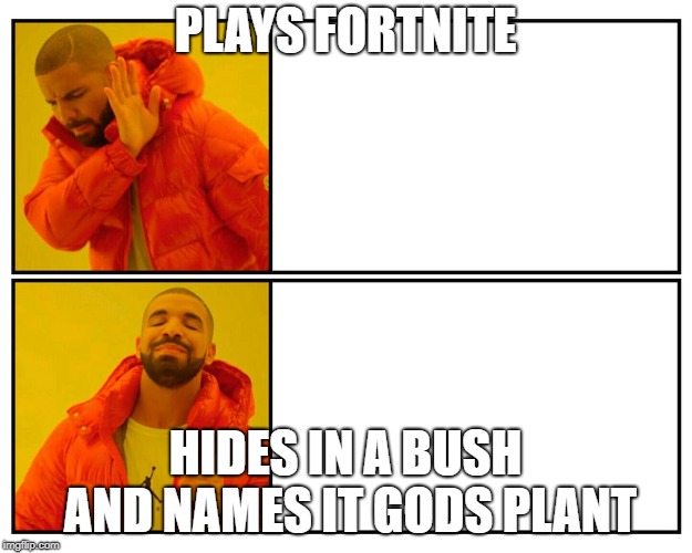 Drakeposting | PLAYS FORTNITE; HIDES IN A BUSH AND NAMES IT GODS PLANT | image tagged in drakeposting | made w/ Imgflip meme maker