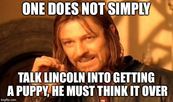 One Does Not Simply Meme | ONE DOES NOT SIMPLY; TALK LINCOLN INTO GETTING A PUPPY, HE MUST THINK IT OVER | image tagged in memes,one does not simply | made w/ Imgflip meme maker