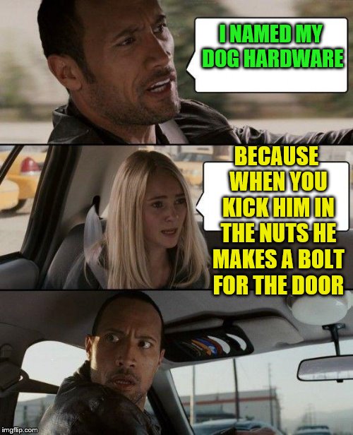 The Rock Driving Meme | I NAMED MY DOG HARDWARE BECAUSE WHEN YOU KICK HIM IN THE NUTS HE MAKES A BOLT FOR THE DOOR | image tagged in memes,the rock driving | made w/ Imgflip meme maker