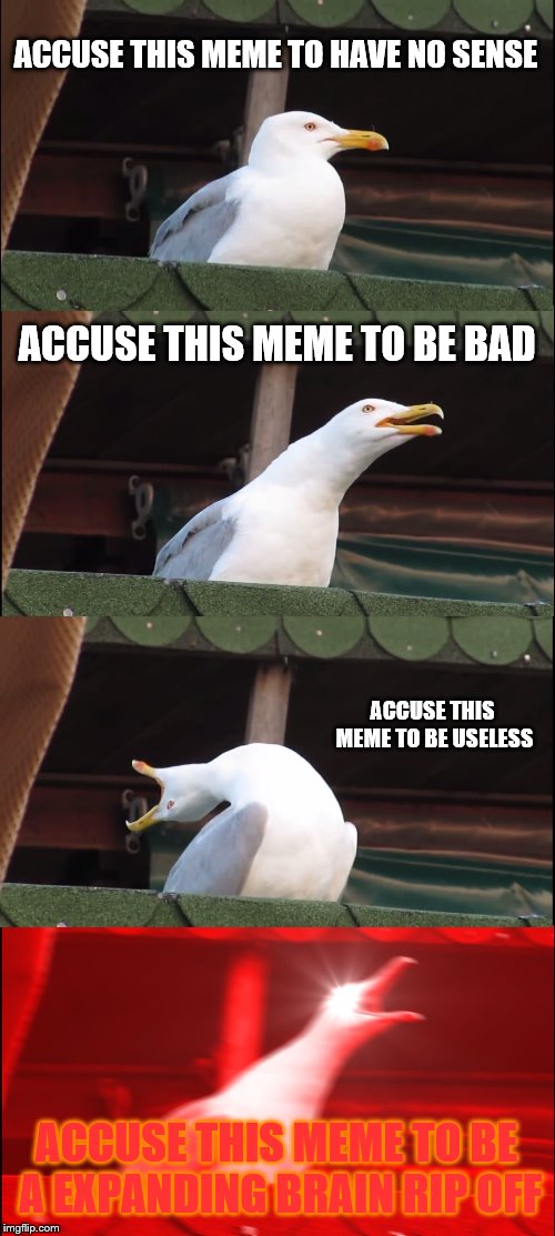 Inhaling Seagull Meme | ACCUSE THIS MEME TO HAVE NO SENSE; ACCUSE THIS MEME TO BE BAD; ACCUSE THIS MEME TO BE USELESS; ACCUSE THIS MEME TO BE A EXPANDING BRAIN RIP OFF | image tagged in memes,inhaling seagull | made w/ Imgflip meme maker