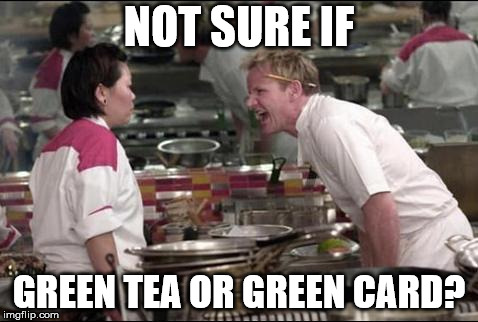 C'mon, you were asking that question, too. | NOT SURE IF; GREEN TEA OR GREEN CARD? | image tagged in memes,angry chef gordon ramsay | made w/ Imgflip meme maker