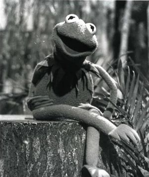 High Quality Kermit Vintage Photo Blank Meme Template