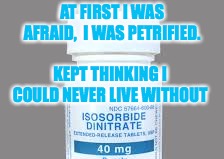 Imdur  | AT FIRST I WAS AFRAID, 
I WAS PETRIFIED. KEPT THINKING I COULD NEVER LIVE WITHOUT | image tagged in pharmacy,isosorbide,nitrates,pharmacyphun,lamepharmacyjokes | made w/ Imgflip meme maker
