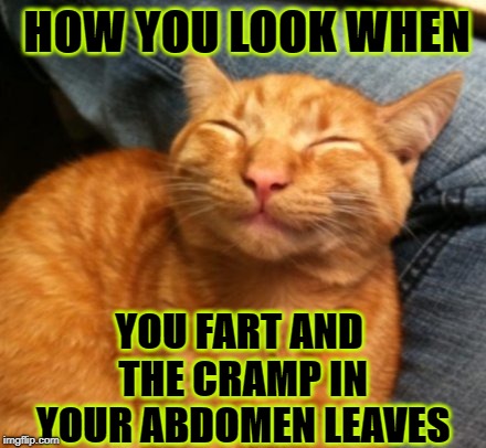 HOW YOU LOOK | HOW YOU LOOK WHEN; YOU FART AND THE CRAMP IN YOUR ABDOMEN LEAVES | image tagged in how you look | made w/ Imgflip meme maker