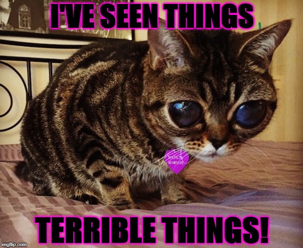 I'VE SEEN THINGS; TERRIBLE THINGS! | image tagged in i've seen things | made w/ Imgflip meme maker