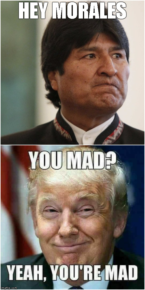 Hey Morales You Mad? | HEY MORALES | image tagged in bolivia,morales,donald trump | made w/ Imgflip meme maker