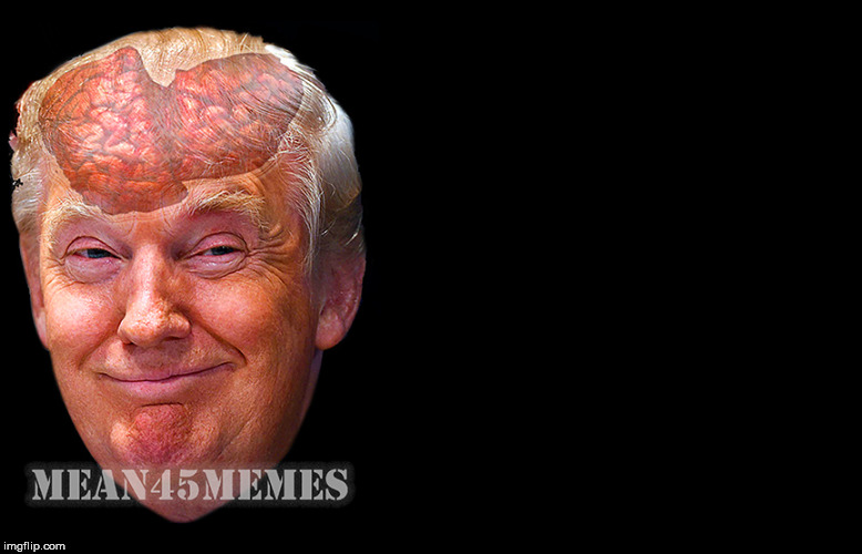 Donald Trump Brain | image tagged in donald trump,brain,idiot,asshole,dope,mean45memes | made w/ Imgflip meme maker