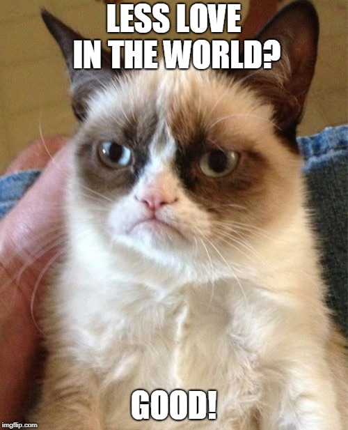 Grumpy Cat Meme | LESS LOVE IN THE WORLD? GOOD! | image tagged in memes,grumpy cat | made w/ Imgflip meme maker
