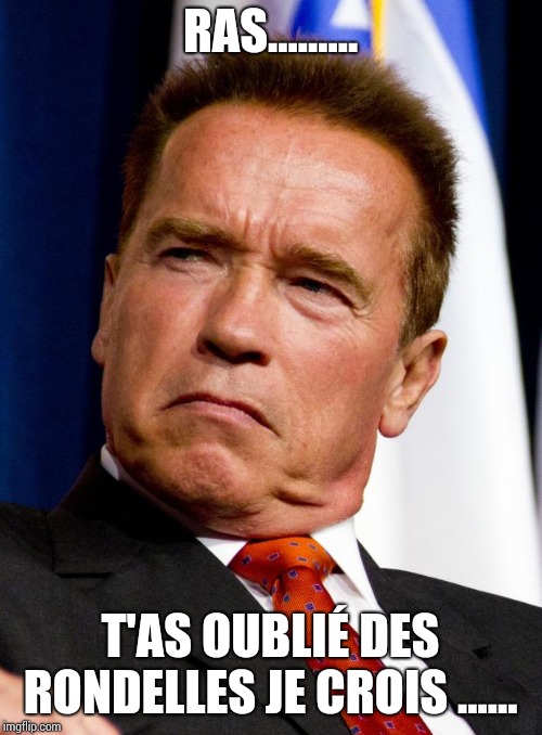 Arnold Schwarzenegger | RAS......... T'AS OUBLIÉ DES RONDELLES JE CROIS ...... | image tagged in arnold schwarzenegger | made w/ Imgflip meme maker