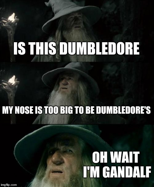 Confused Gandalf Meme | IS THIS DUMBLEDORE; MY NOSE IS TOO BIG TO BE DUMBLEDORE'S; OH WAIT I'M GANDALF | image tagged in memes,confused gandalf | made w/ Imgflip meme maker