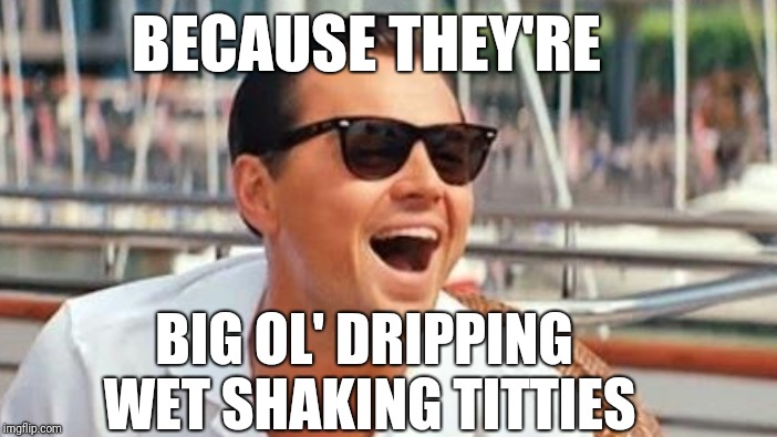 BECAUSE THEY'RE BIG OL' DRIPPING WET SHAKING TITTIES | made w/ Imgflip meme maker