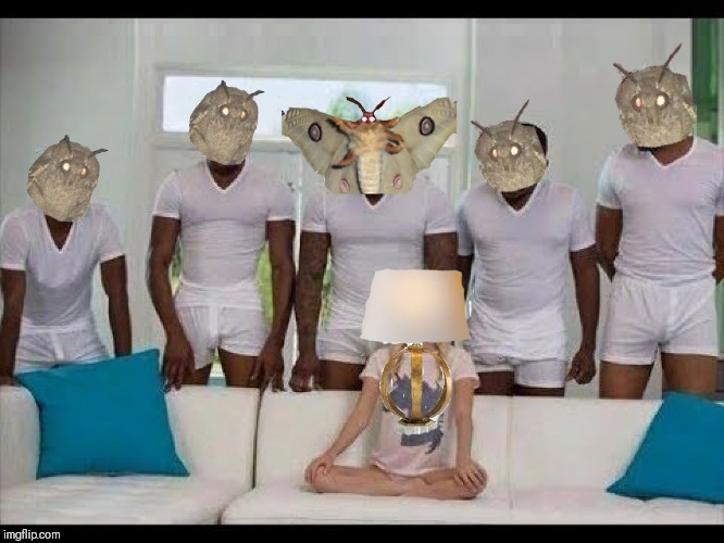 image tagged in lamp,moths | made w/ Imgflip meme maker