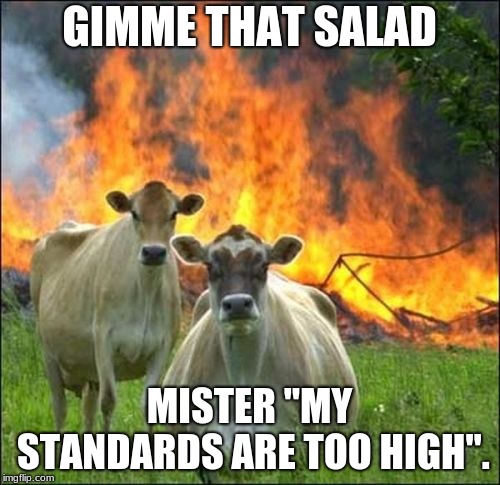 Evil Cows Meme | GIMME THAT SALAD MISTER "MY STANDARDS ARE TOO HIGH". | image tagged in memes,evil cows | made w/ Imgflip meme maker