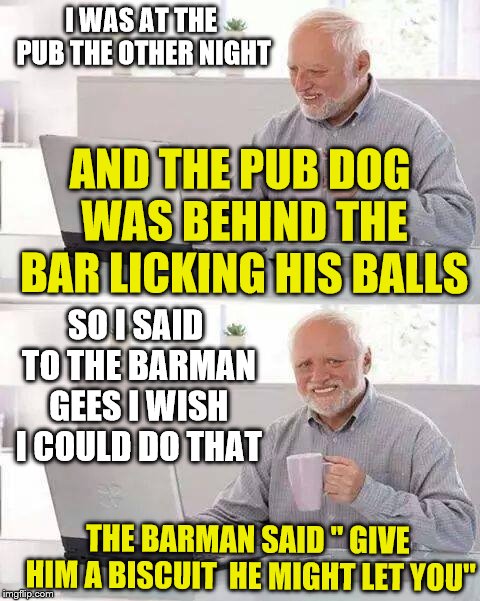 pub | I WAS AT THE PUB THE OTHER NIGHT; AND THE PUB DOG WAS BEHIND THE BAR LICKING HIS BALLS; SO I SAID TO THE BARMAN GEES I WISH I COULD DO THAT; THE BARMAN SAID " GIVE HIM A BISCUIT  HE MIGHT LET YOU" | image tagged in memes,hide the pain harold,bar,pets | made w/ Imgflip meme maker