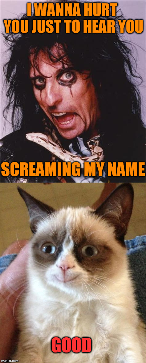 You're poison running through my veins | I WANNA HURT YOU JUST TO HEAR YOU; SCREAMING MY NAME; GOOD | image tagged in grumpy cat happy,alice cooper,poison | made w/ Imgflip meme maker