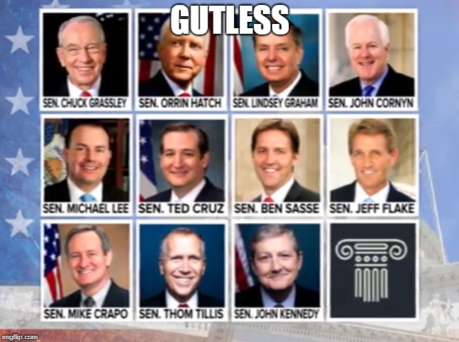 Gutless | GUTLESS | image tagged in senate,kavanaugh,hearing,spineless | made w/ Imgflip meme maker